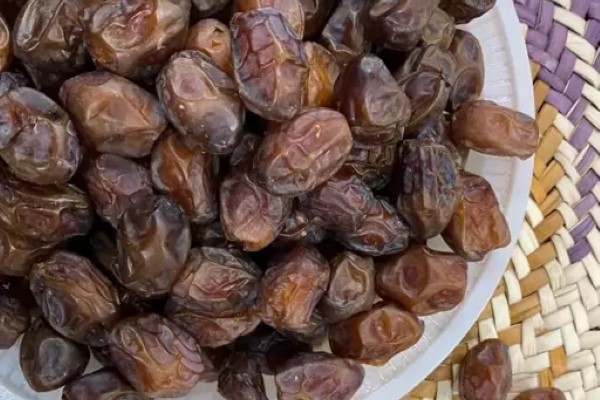 تصویر 3 از خرید و قیمت خرما خاصویی اجیلی + فروش صادراتی